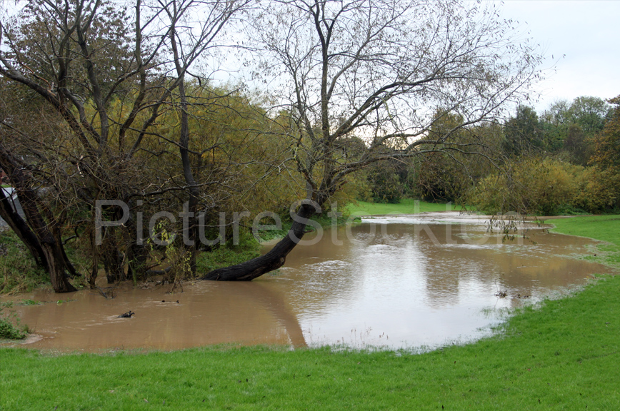 Misc Picture Stockton Archive